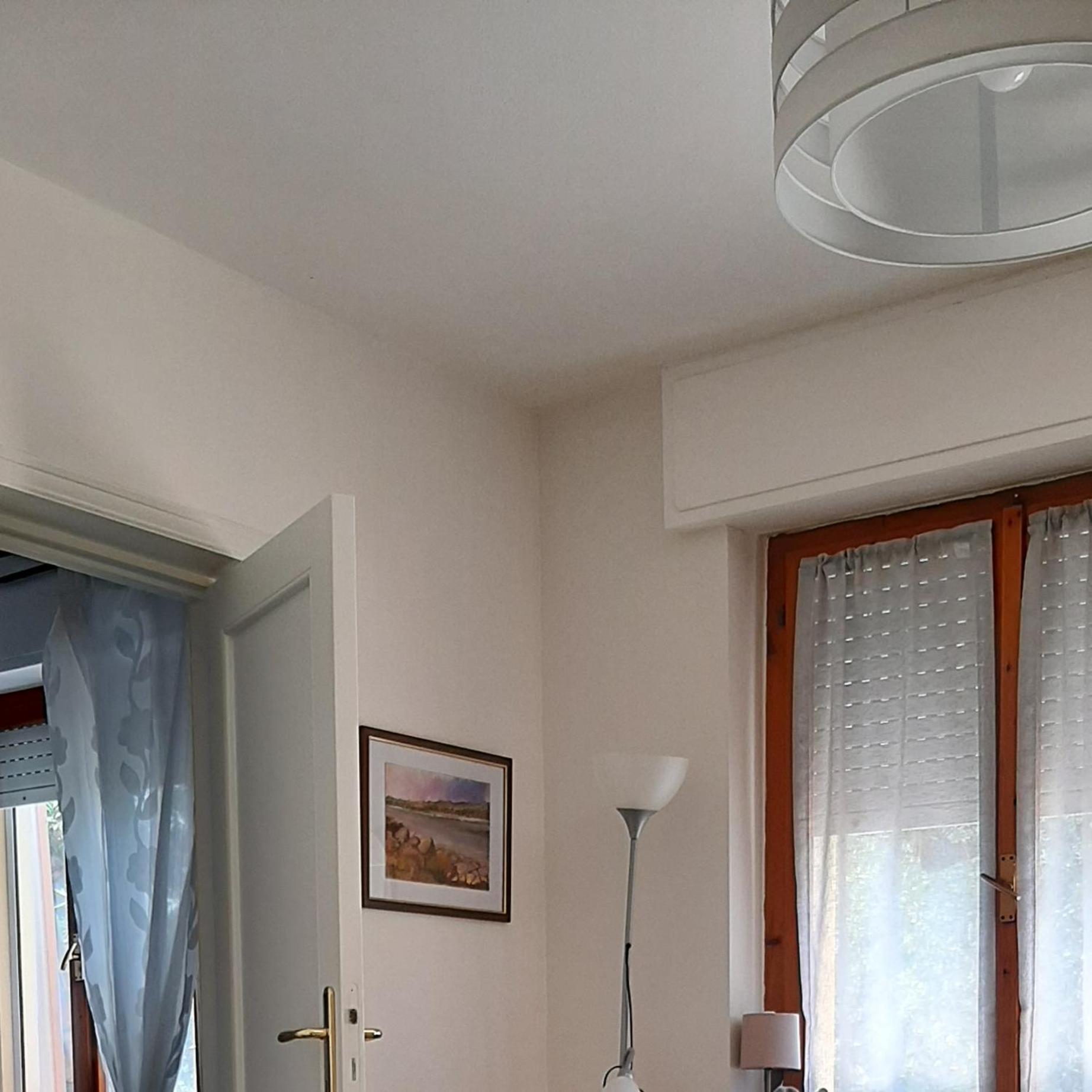 Algherooms Стая снимка